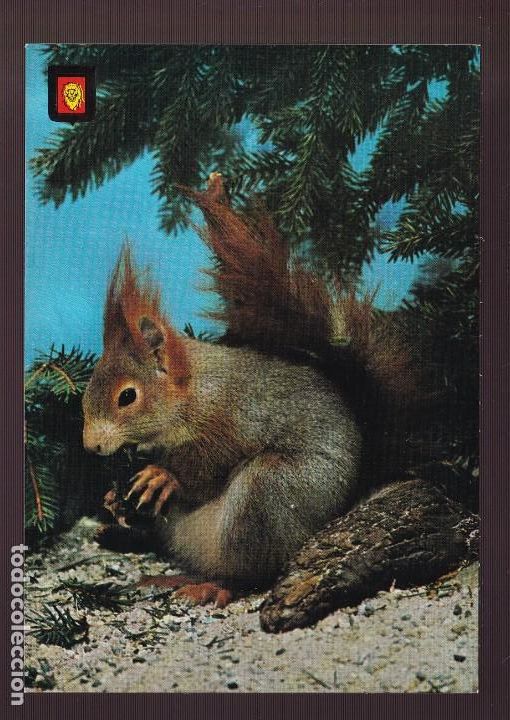 Postcards: Ed. Fisa, Animales Salvajes n&ordm; 2. Nueva.