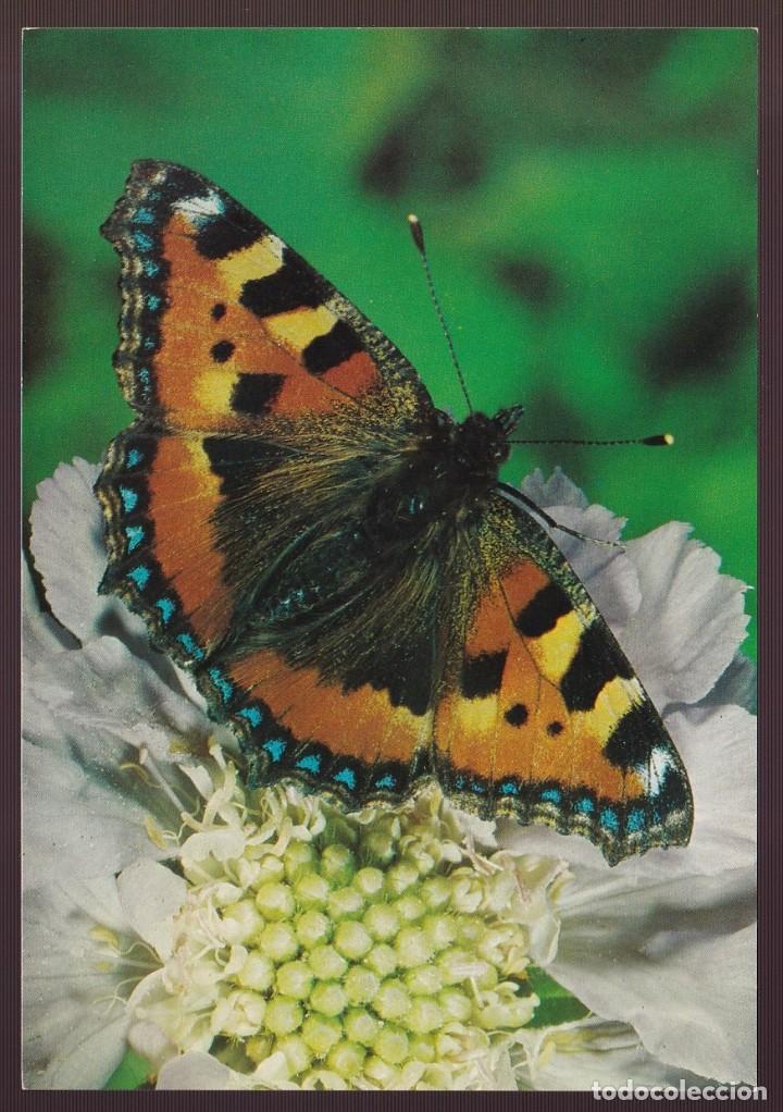 Postales: *Mariposa* Sin datos editor. Nueva. - Foto 1