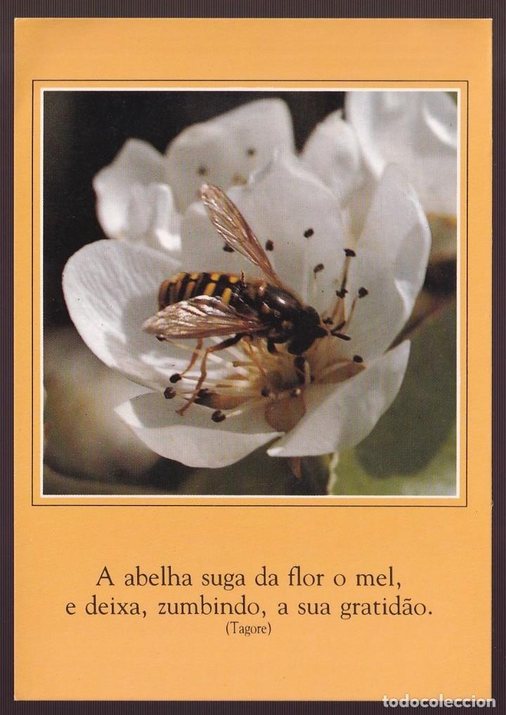 Postcards: *Avispa* Edici&oacute;n brasile&ntilde;a. Escrita.