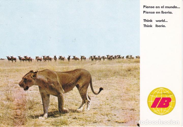 Postcards: POSTAL DE IBERIA DE PIENSA EN EL MUNDO - AFRICA PARAISO DE SAFARIS FOTOGRAFICOS (LEON-LION)