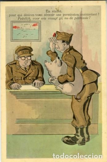 Cartes Postales: Militar con cerdo. Fabricada en Belgica.