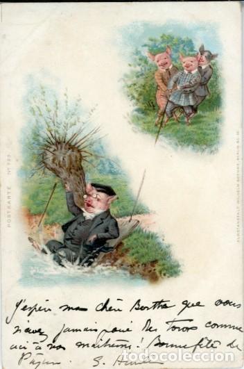Postais: Postal sat&iacute;rica con cerdos. Circulada a Brujas. Reverso sin dividir. 1900