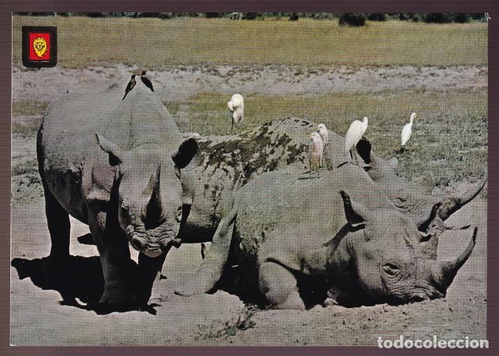 Postcards: Ed. Fisa, Animales Salvajes n&ordm; 7. Dep. Legal B. 4334-XIII. Nueva.