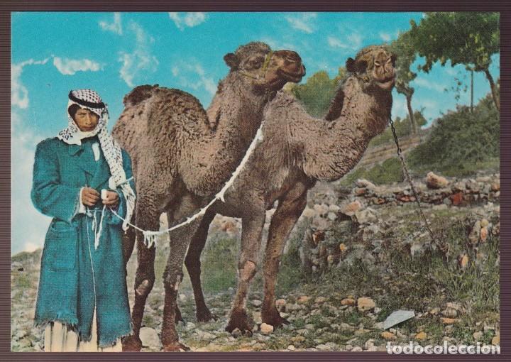 Postcards: Libano. *A camel driver* Escrita.
