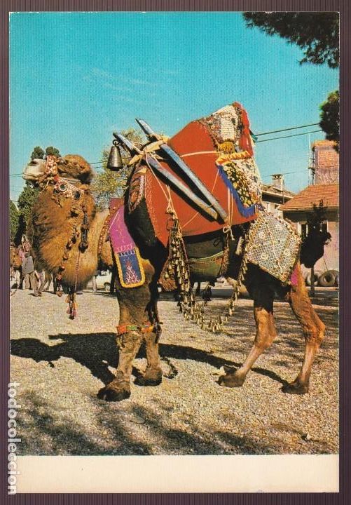 Postcards: Turqu&iacute;a. *Her Hakki Mahfuzdur* Nueva.