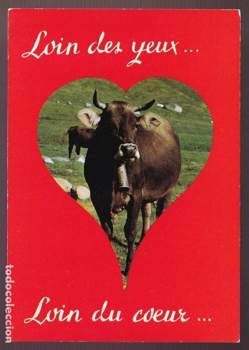 Postcards: *Vaca* Edici&oacute;n francesa. Nueva.
