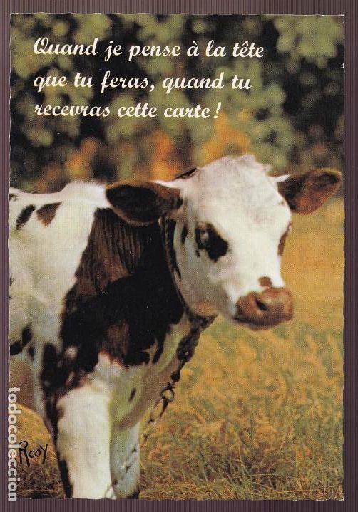Postcards: *Vaca* Edici&oacute;n francesa. Nueva.