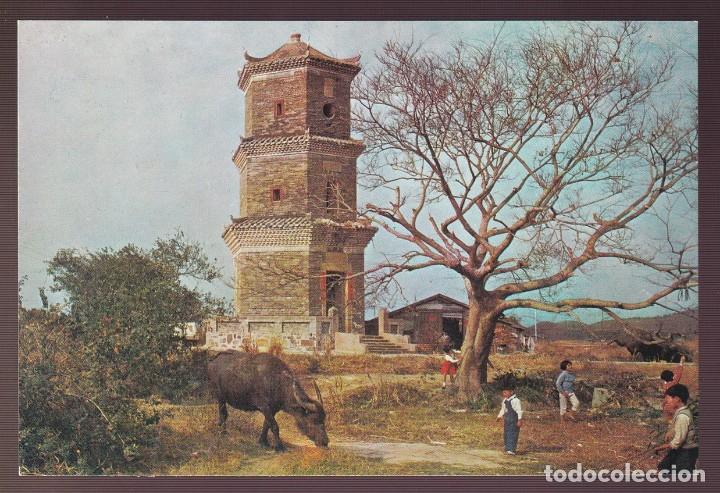 Postcards: China. Hong Kong. N.T. *Old Pagoda at Pingshan* Nueva.