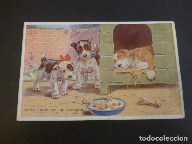 Postales: PERROS CON COMIDA POSTAL ILUSTRADA - Foto 1