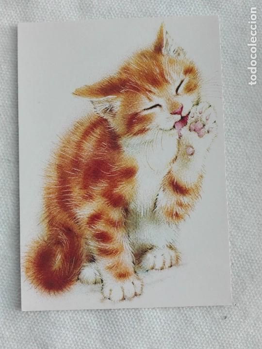 Postales: POSTAL2280 NUEVA - VAN NELLE KOFFIE EN THEE - GATO FAUNA