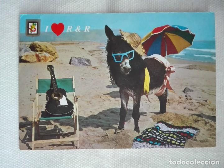 Postcards: POSTAL2486 CIRCULADA 1988 - ESCUDO DE ORO 15 ANIMALES BURRO GUITARRA