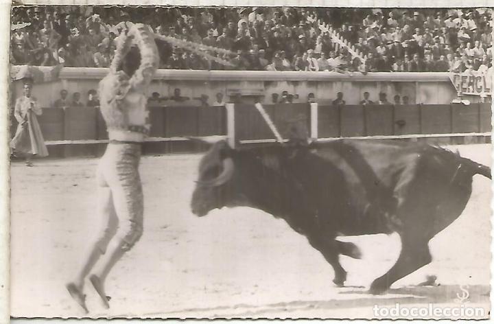 Postales: TOROS TORERO PEPE DOMINGUIN SIN ESCRIBIR - Foto 1