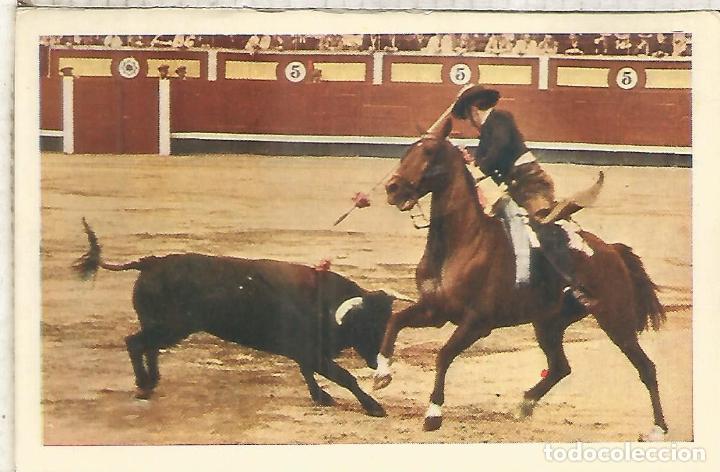 Postcards: TOROS TORERO SIN ESCRIBIR