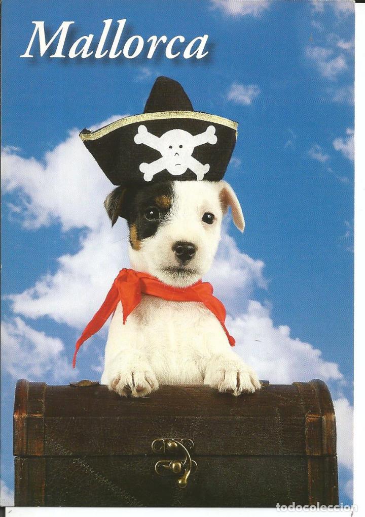 Postkarten: POSTAL *PERRITO CACHORRO DE PIRATA* - EDIC. COSTA DE MALLORCA