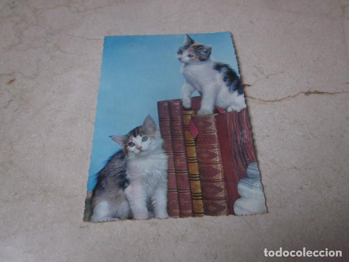 Postcards: POSTAL ESCRITA - DOS GATOS - A&Ntilde;O 1969