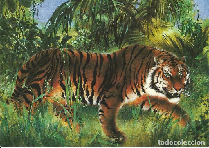 Postcards: SHERE KHAN (Tigre) - impresi&oacute;n de artista por Alex Robson
