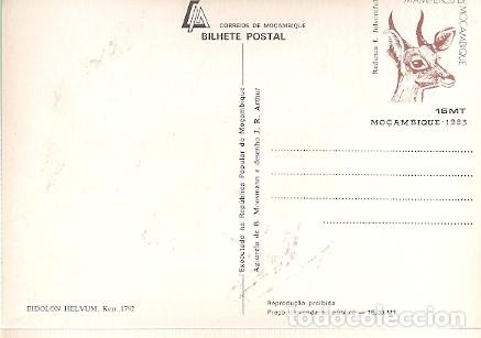 Postais: Mozambique ** & Intero, Mam&iacute;feros de Mozambique, Bat, Eidolon Helvum, Kerr 1983 (1792)