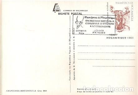 Postais: Mozambique & Intero, Roedor, Cryptomys Hottentotus, Gray, Lichinga 1983 (1864)
