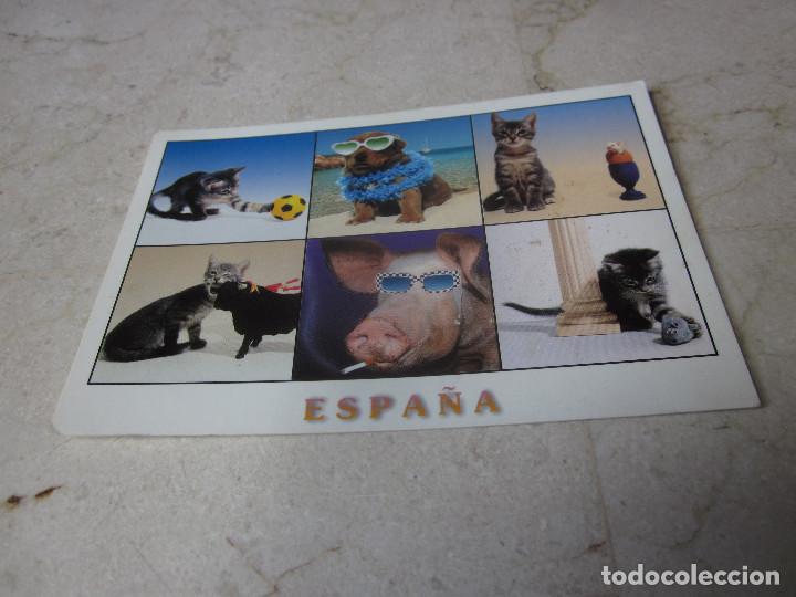 Postais: POSTAL ESPA&Ntilde;A - ANIMALES - EDICIONES 07