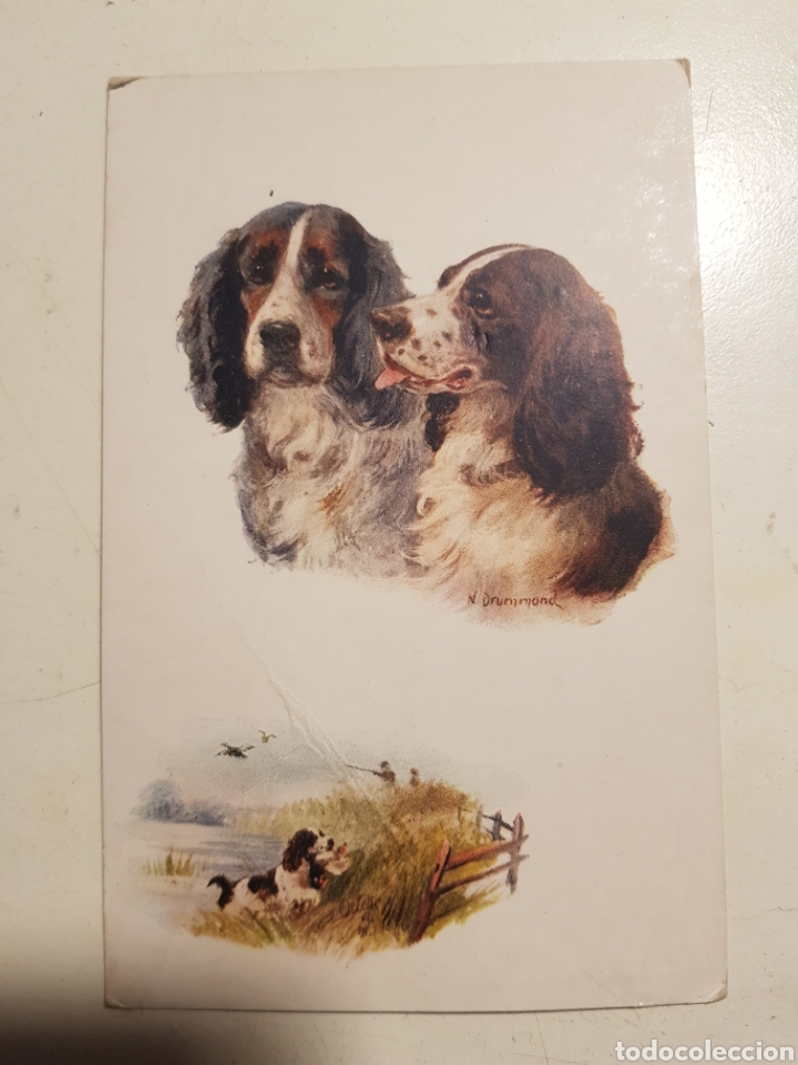 Postales: POSTAL RAPHAEL TUCK & SONS OLLETTE N.8669