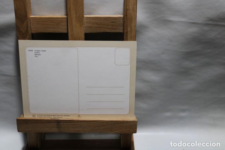 Postales: POSTAL VULPES FUCHS SIN CIRCULAR - Foto 2
