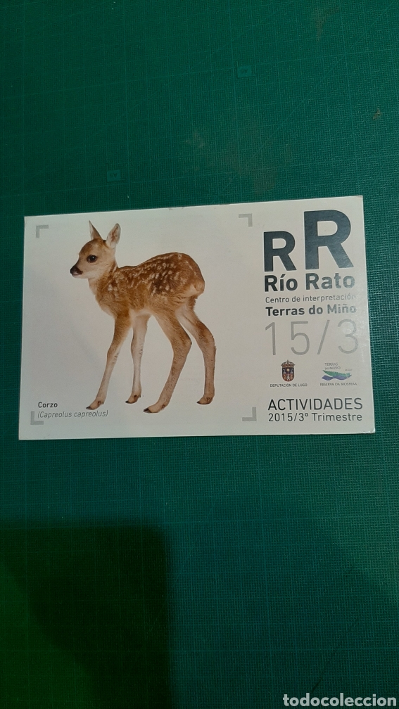 Postales: R&Iacute;O RATO FAUNA CIRZO POSTAL ACTIVIDADES TERRAS MI&Ntilde;O LUGO LIBRERIA O ALMAC&Eacute;N DO COLISEVM COLECCION