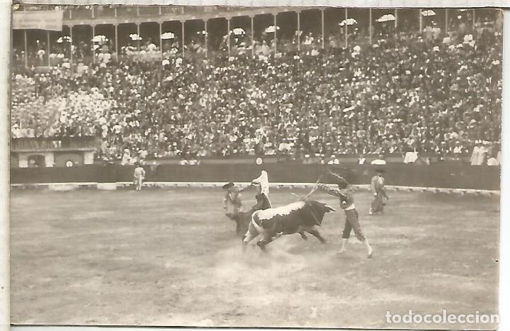 Postales: TOROS TORERO DORSO SIN DIVIDIR
