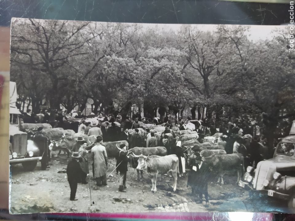 Postcards: Postal t&iacute;pica de toural