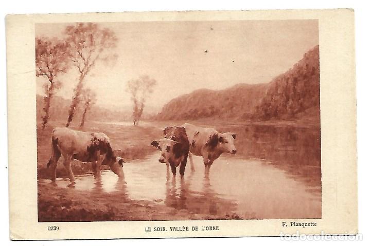 Postcards: 1R- POSTAL ANTIGUA DE VACAS DE GANADERIA FRANCESA EN EL VALLE DE LORNE - NUEVA