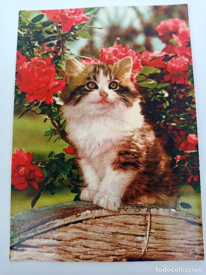 Postkarten: TARJETA POSTAL. GATITO CON FLORES. A&Ntilde;O 1964. ROTACOLOR. IMPRESO DE ITALIA. N&ordm; R.118