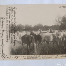 Postales: POSTAL FRANCIA 1903 EN CAMARGE CABALLOS. Lote 239955730