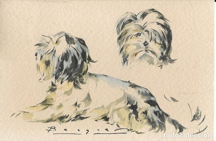 Cartes Postales: Postal antigua con dos perros