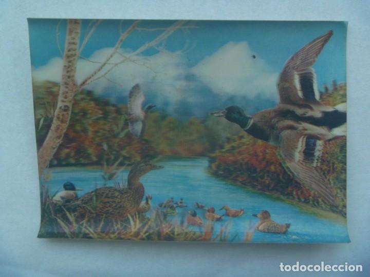 Cartes Postales: POSTAL DE ESCENA CON PATOS . TIPO VISIORAMA , 3D , A&Ntilde;OS 60