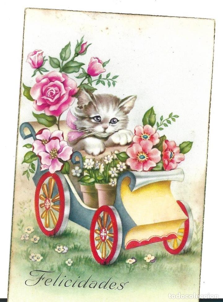 Postcards: FELICIDADES, EDICION CyZ N&Uacute;M. 566. POSTAL ESCRITA EN 1956. MIDE 13,7X8.7 CM.