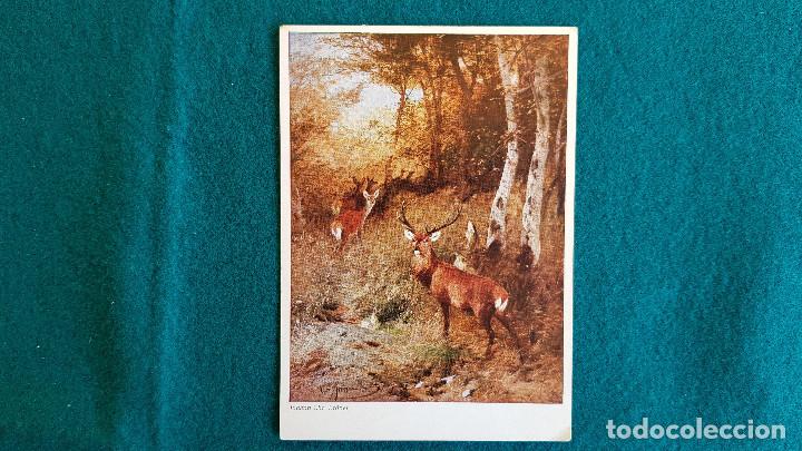 Postcards: POSTAL PAISAJE CON CIERVOS - JOHANN CHR. KR&Ouml;NER