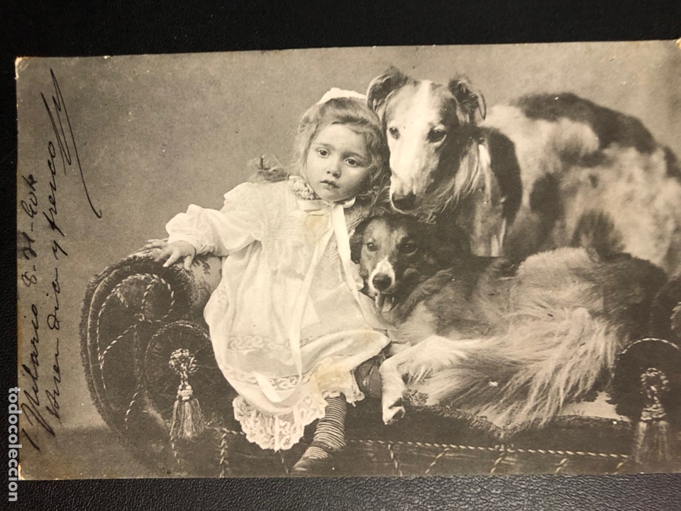 Postcards: Tarjeta postal ni&ntilde;a con perro