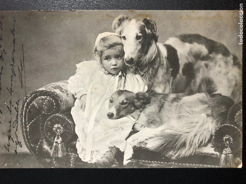 Postcards: Tarjeta postal ni&ntilde;a con perro
