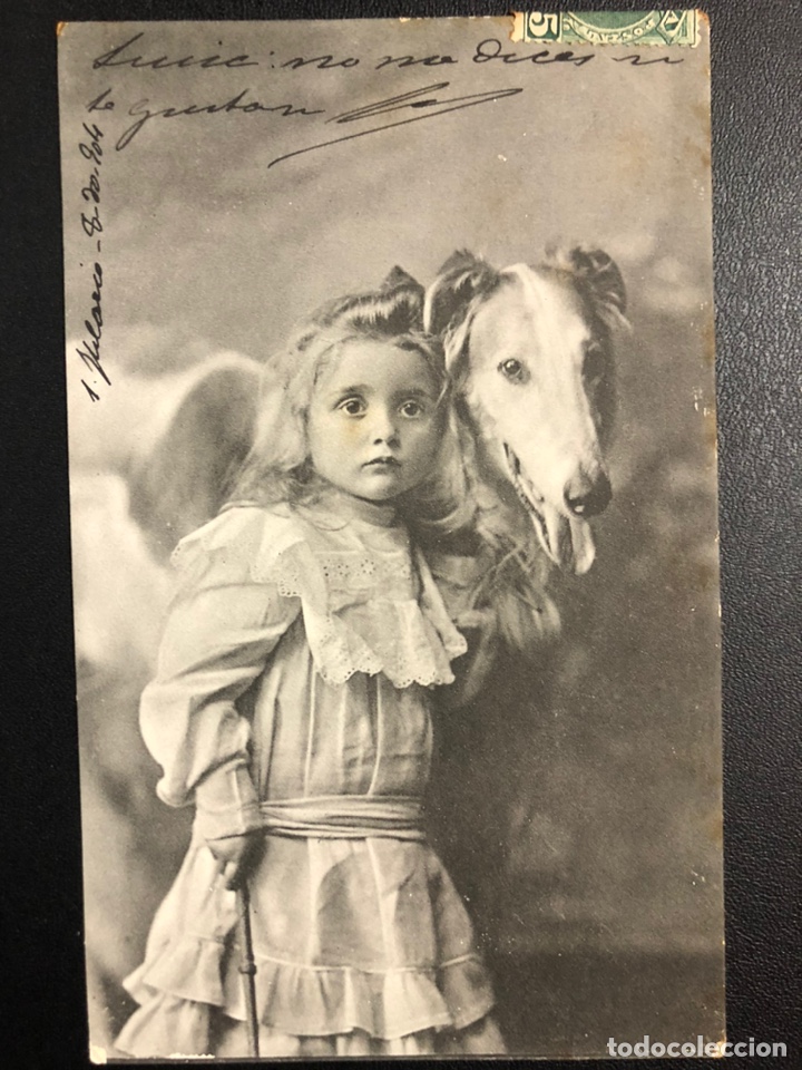 Postcards: Tarjeta postal ni&ntilde;a con perro