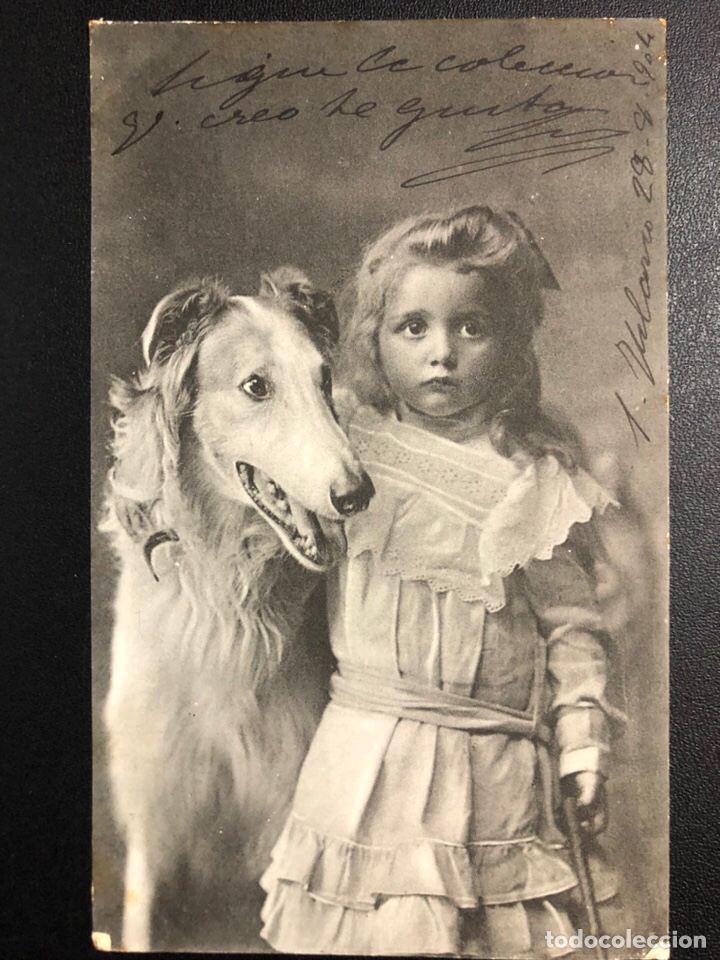 Postcards: Tarjeta postal ni&ntilde;a con perro