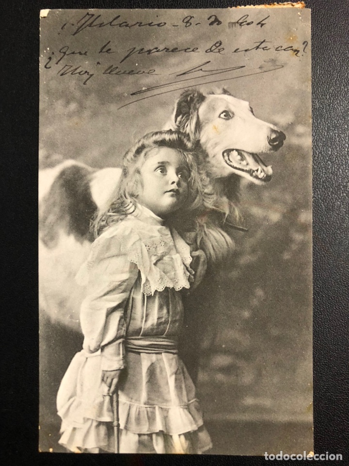 Postcards: Tarjeta postal ni&ntilde;a con perro