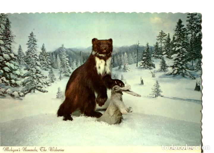 Cartes Postales: POSTAL EXTRANJERA TEJON