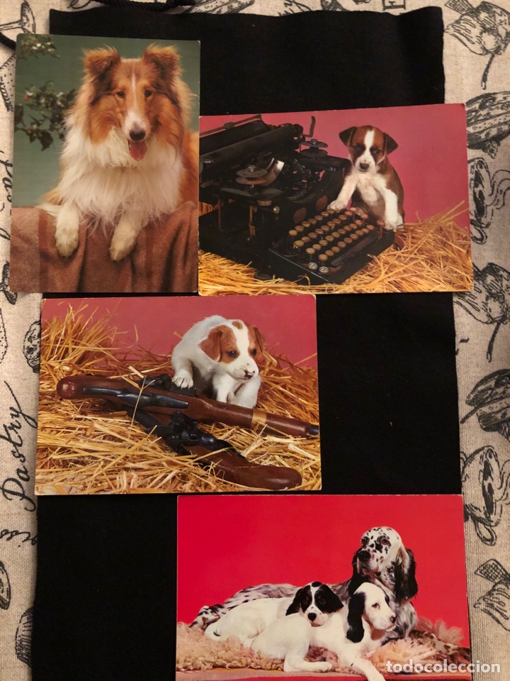 Postcards: Postales de perros a&ntilde;os 60-70