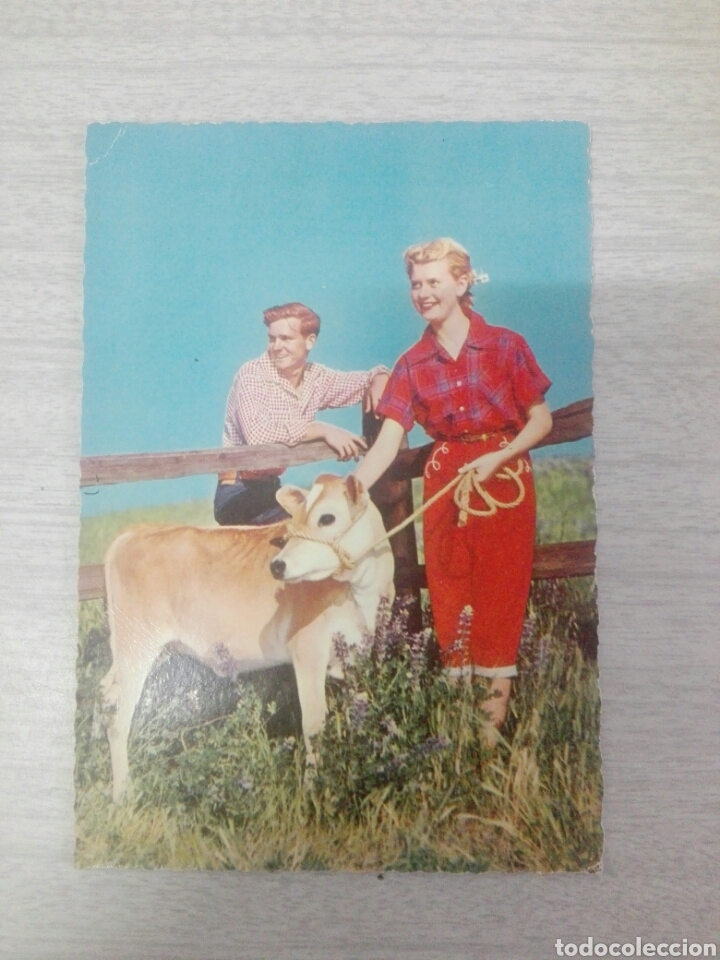 Cartes Postales: Postal enamorados con ternera vaca