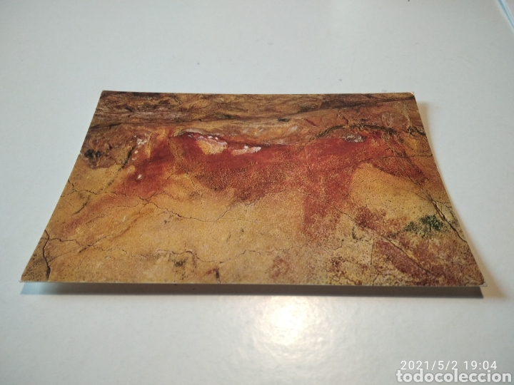 Cartes Postales: Cuevas de Altamira caballo pinturas