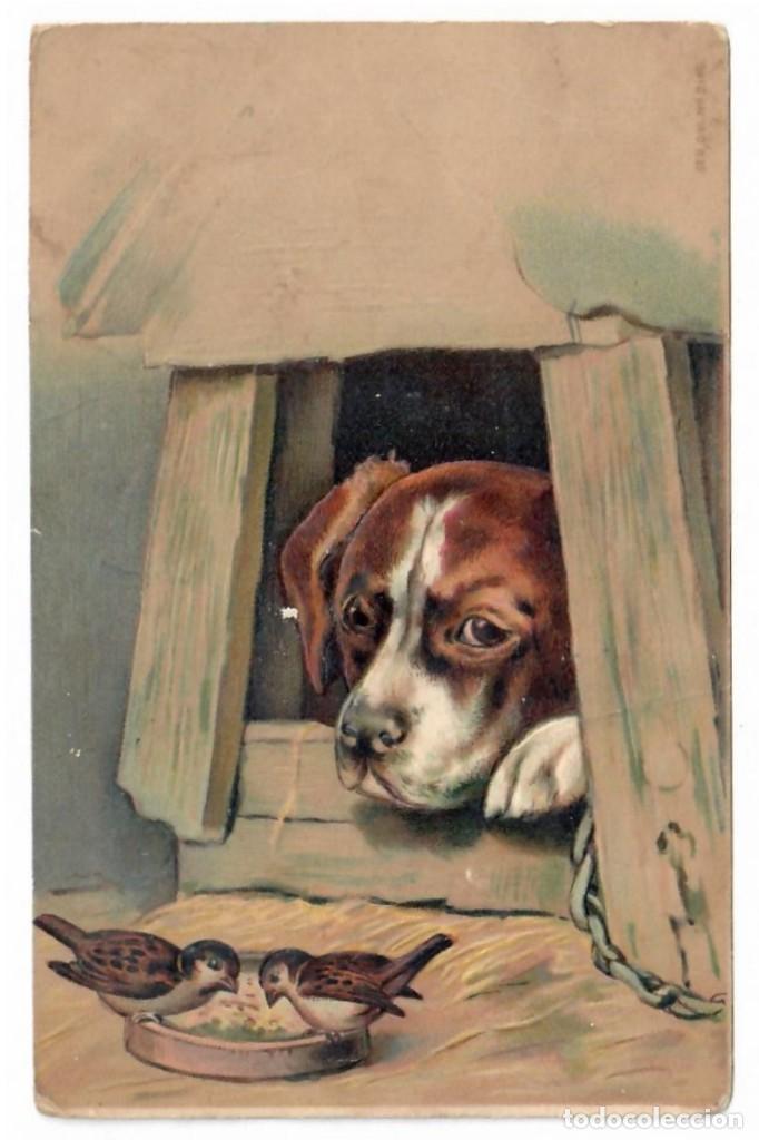 Postales: PERRO OBSERVANDO DOS PAJARILLOS - Foto 1