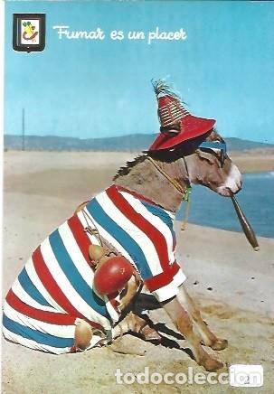 Postales: POSTAL A COLOR N&ordm; 2 ANIMALES COMICOS - Foto 1