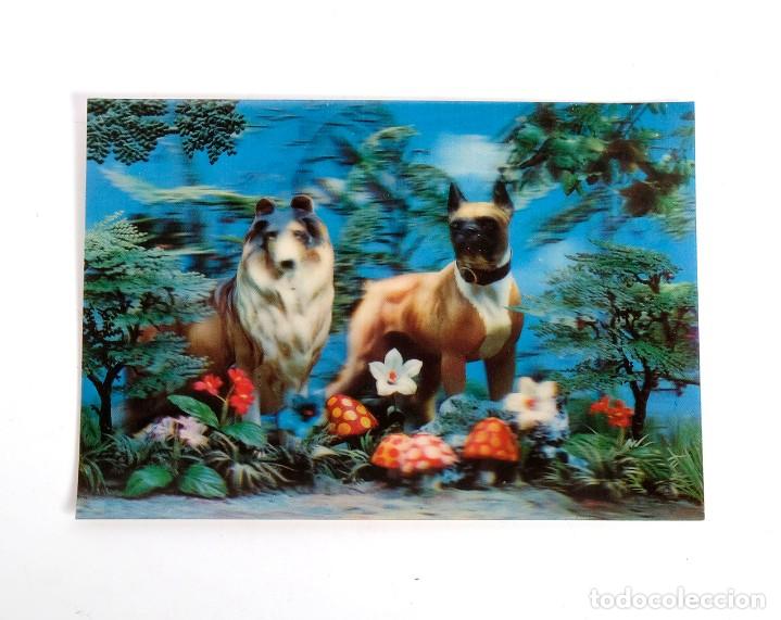 Cartes Postales: Tarjeta postal de perros en 3D. Visiomatic. Paris.1966. Sin circular