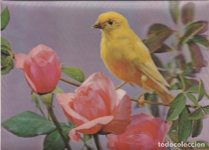 postal - 3d - canario pajaro / flor rosa - semi - Compra venta en  todocoleccion