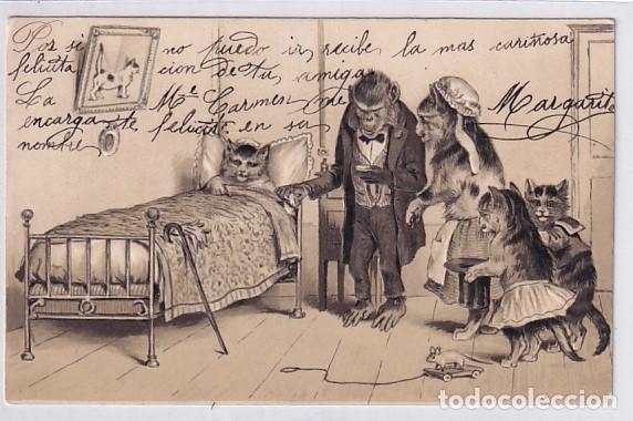 Cartes Postales: Postal gato enfermo con mono doctor . Reverso sin dividir. Circulada