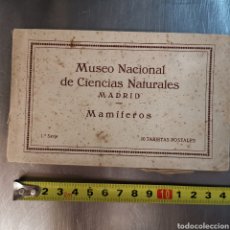 Postales: ÁLBUM DE 10 POSTALES MUSEO DE CIENCIAS NATURALES DE MADRID MAMÍFEROS, SERIE 1.